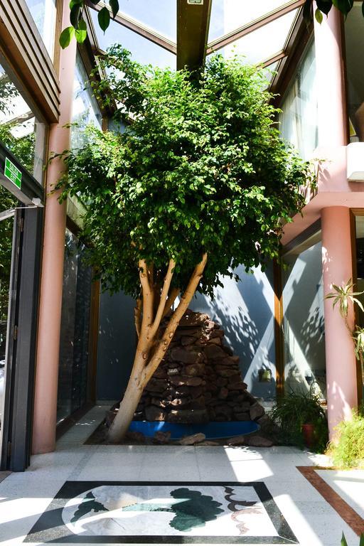 Argenta Apart Hotel Trelew Exterior photo